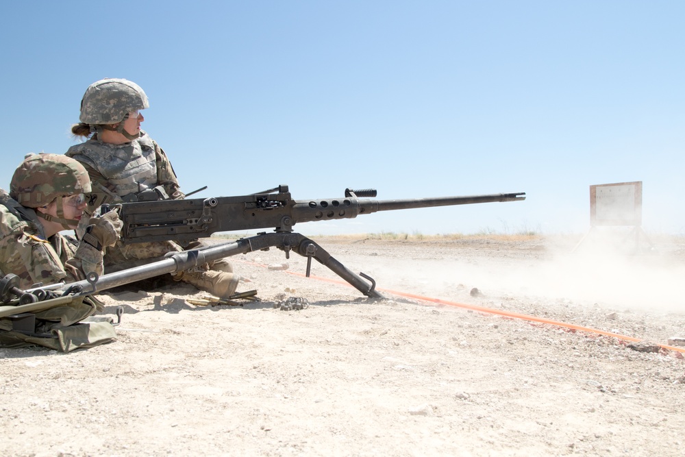 Soldiers Shoot M2 Weapon System During Annual Training