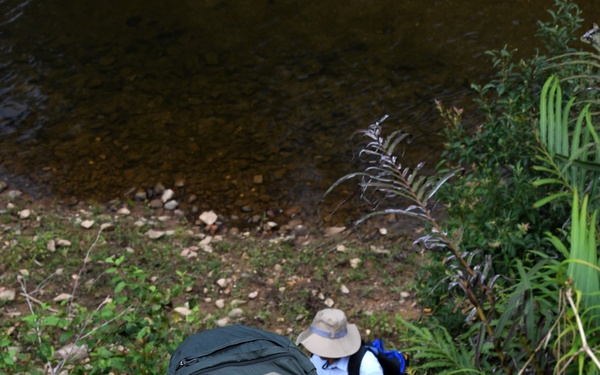 Investigation in Quang Nam