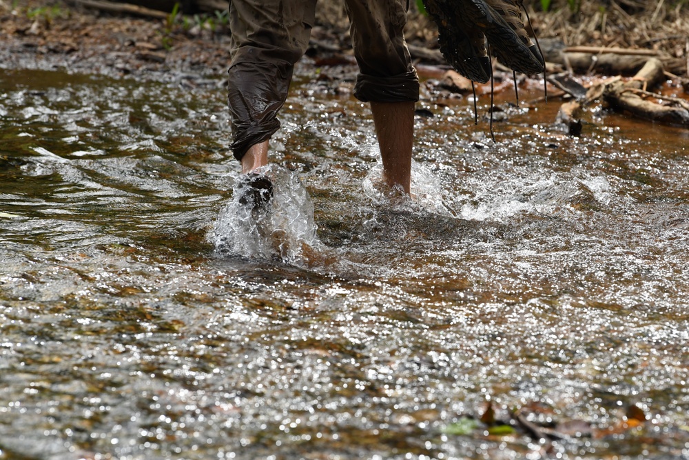 Investigation in Quang Nam