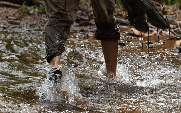 Investigation in Quang Nam