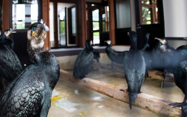 Air station families try Ukai