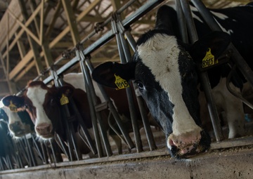 Public Health Airmen engage civilian partners during DAEOC IRT