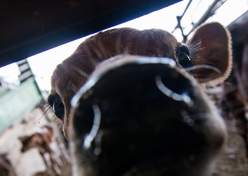 Public Health Airmen engage civilian partners during DAEOC IRT