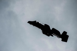Multinational JTACs integrate in RED FLAG-Alaska