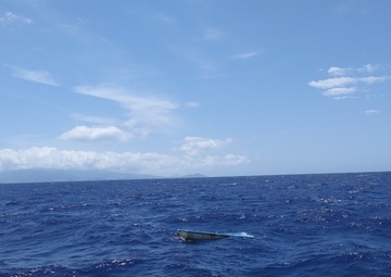 Coast Guard seeks public’s help identifying owner of dinghy found swamped off Oahu