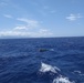 Coast Guard seeks public's help identifying owner of dinghy found swamped off Oahu
