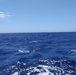 Coast Guard seeks public's help identifying owner of dinghy found swamped off Oahu