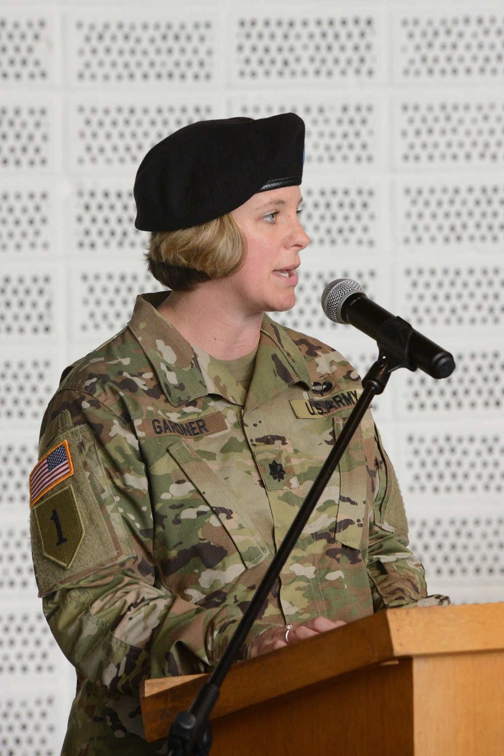 Allied Forces North Battalion's Change of Command ceremony