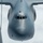 KC-135 Performs Aerial Refuel With C-5