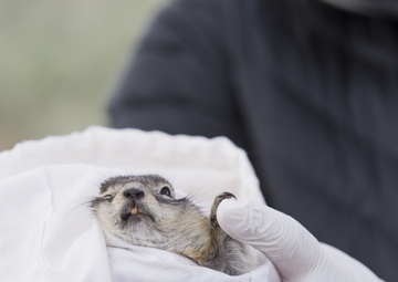 Idaho National Guard's Adopt a Scientist Program works with local students to preserve the NCA