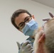 Joint Air Force, Navy dental clinic ‘changing lives one tooth at a time’