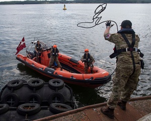 RIAT 2019 RADIO