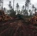 Years of planning paying off on forest management practices at Blackwater Dam