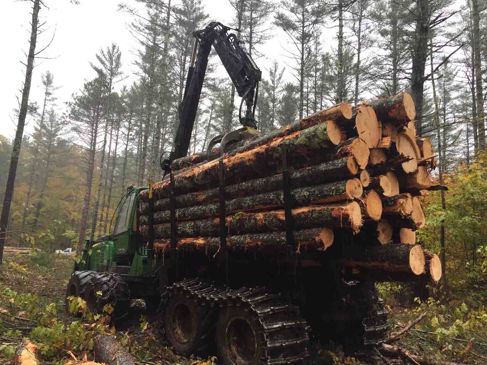 Years of planning paying off on forest management practices at Blackwater Dam