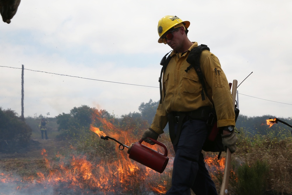 Fighting Fire with Fire! MCAS Miramar conducts controlled burns