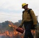 Fighting Fire with Fire! MCAS Miramar conducts controlled burns