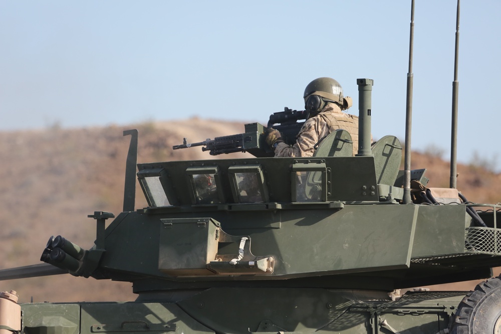 4th LAR conducts live-fire at ITX 4-19