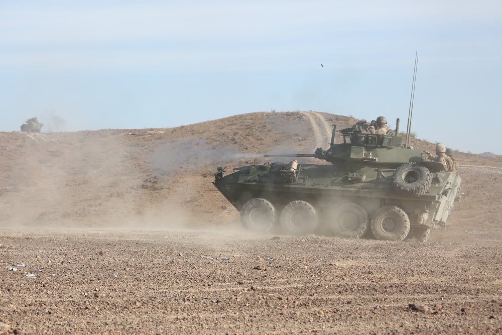 DVIDS - Images - 4th LAR Conducts Live-fire At ITX 4-19 [Image 2 Of 7]