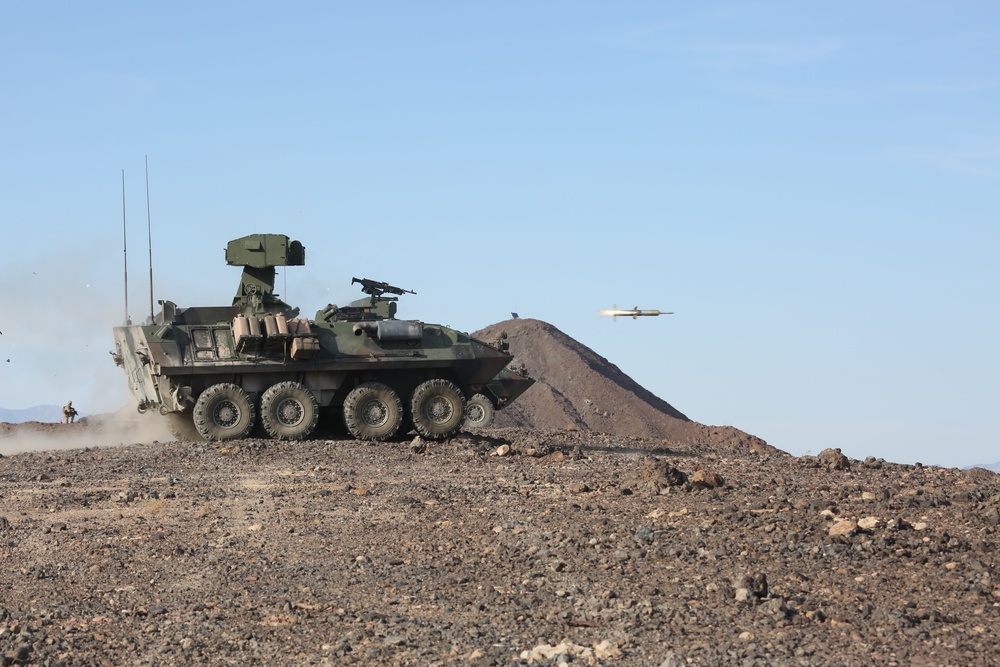 4th LAR conducts live-fire at ITX 4-19