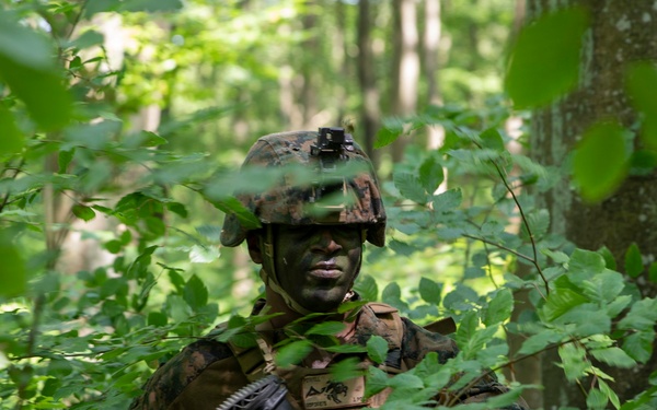 U.S. Marines Train in Sweden for BALTOPS 2019