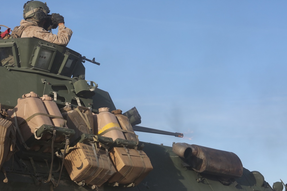 4th LAR conducts live-fire at ITX 4-19