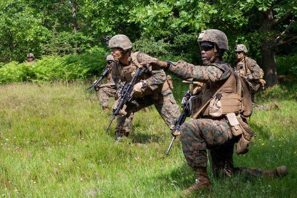 U.S. Marines Train in Sweden for BALTOPS 2019