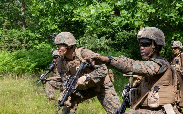 U.S. Marines Train in Sweden for BALTOPS 2019