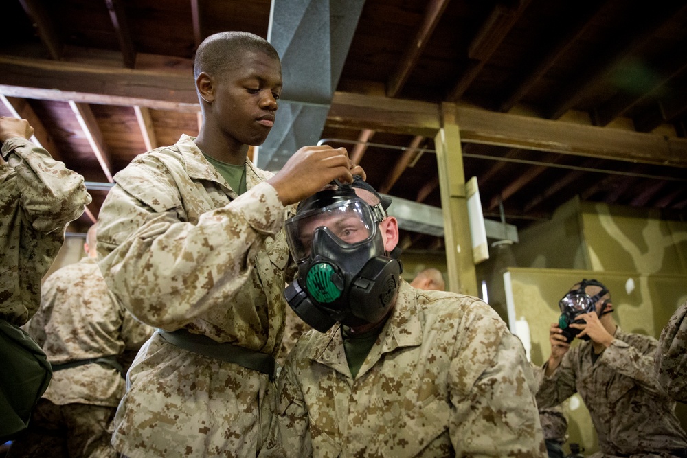 Kilo Company recruits practice CBRN defense