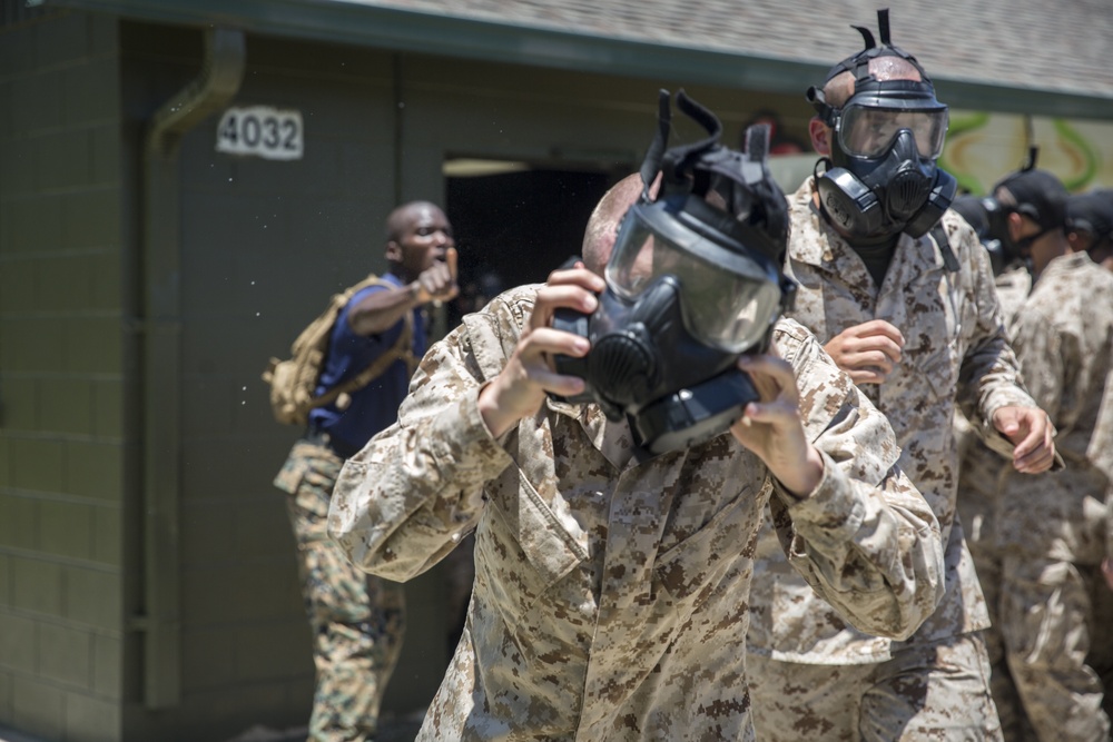 Kilo Company recruits practice CBRN defense