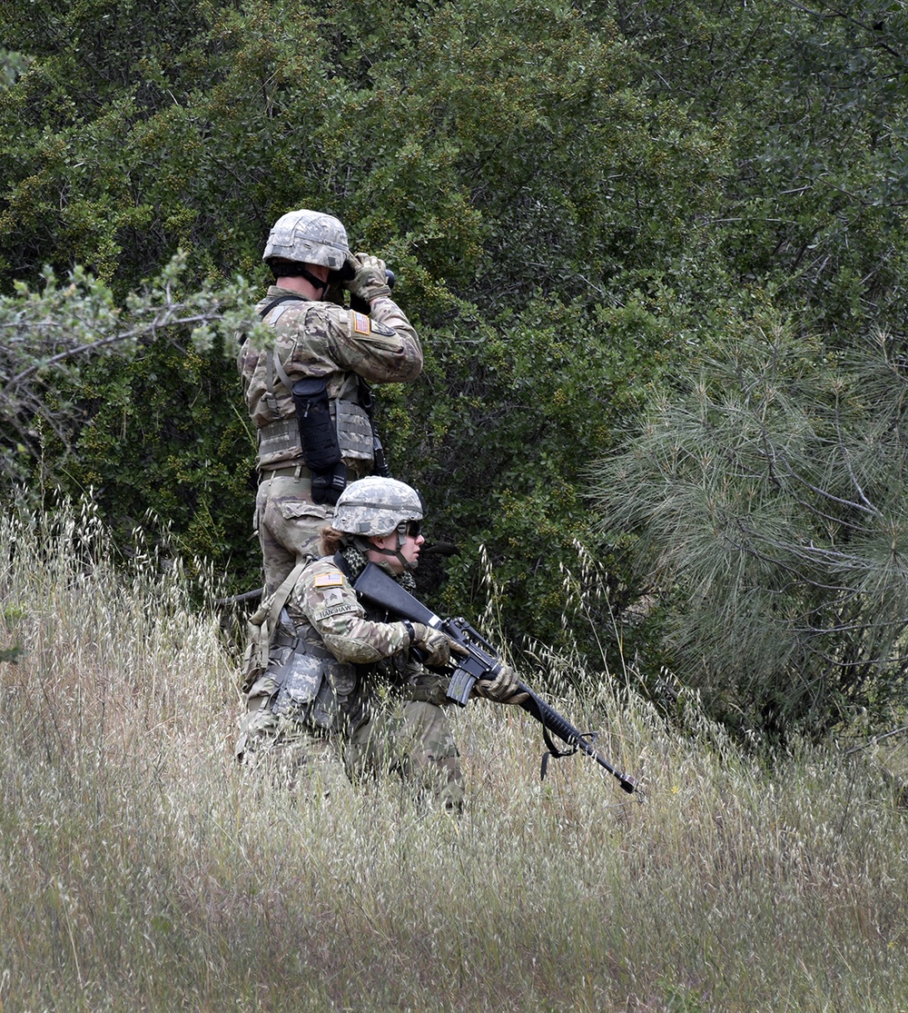 Reconnaissance during counter-IED training