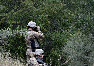 Counter-IED Training in Military Policing