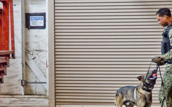 NBVC Military Working Dogs