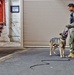 NBVC Military Working Dogs