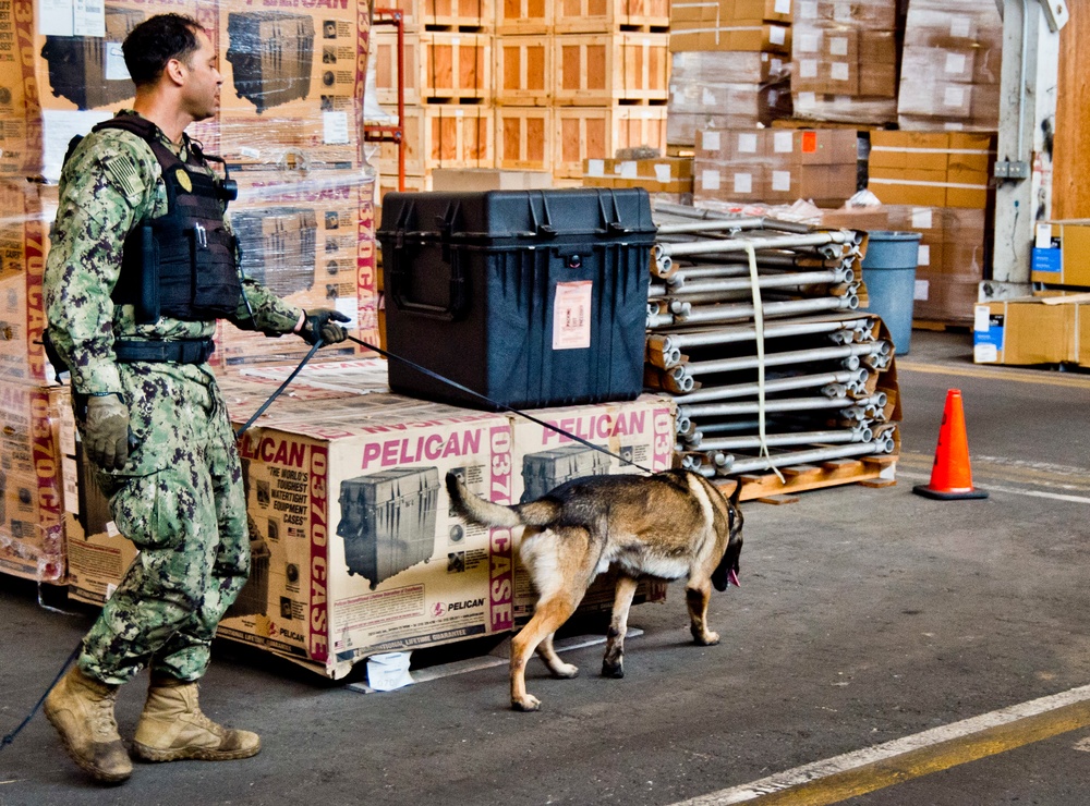 NBVC Military Working Dogs
