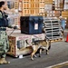 NBVC Military Working Dogs