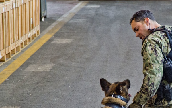 NBVC Military Working Dogs