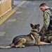 NBVC Military Working Dogs