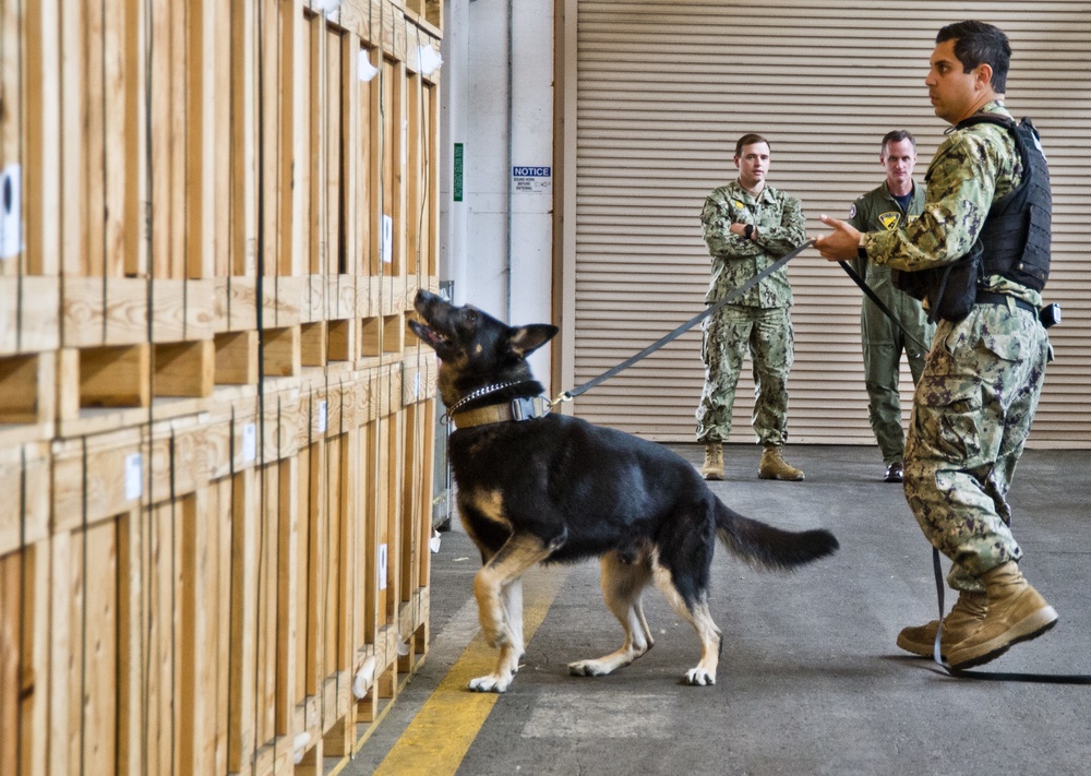 NBVC Military Working Dogs