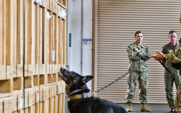 NBVC Military Working Dogs