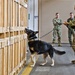 NBVC Military Working Dogs