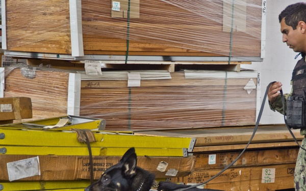 NBVC Military Working Dogs