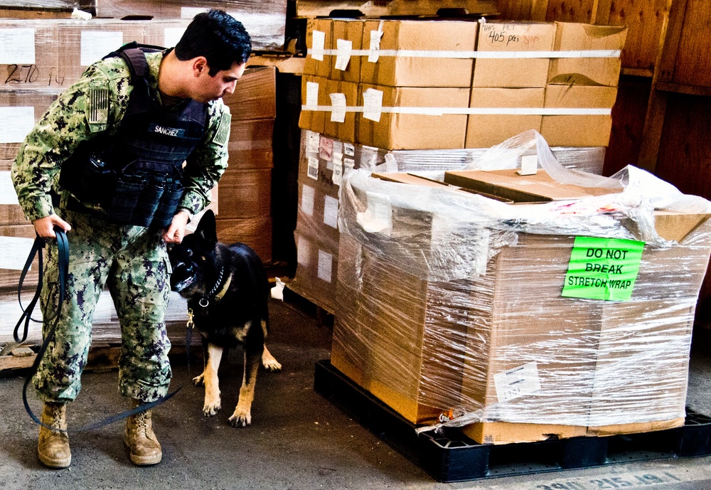 NBVC Military Working Dogs
