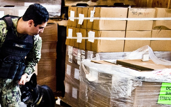 NBVC Military Working Dogs