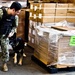 NBVC Military Working Dogs