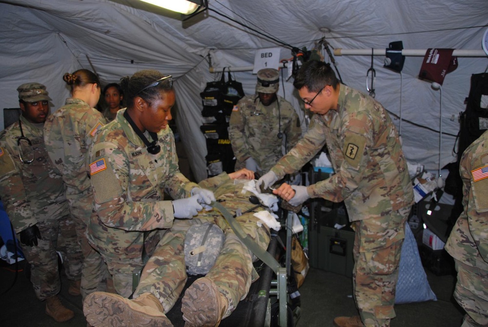 MASCAL Saber Guardian 19