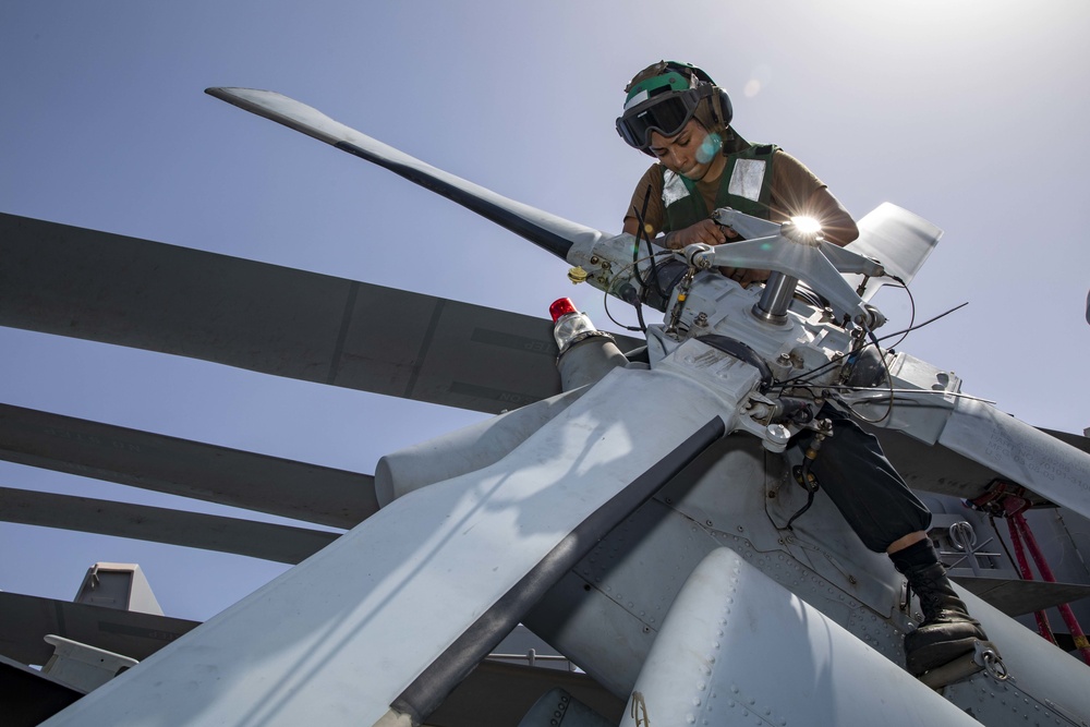 Sea Hawk Maintenance