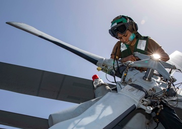 Sea Hawk Maintenance
