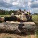 Battle Group Poland strengthens interoperability during Exercise Puma 19