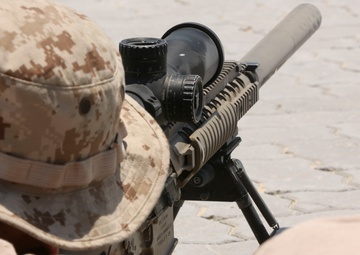 FASTCENT Designated Marksman Range