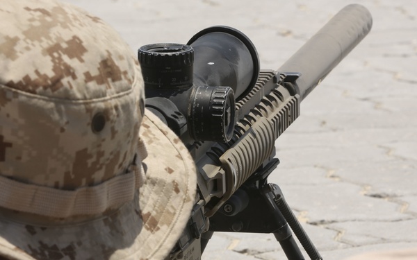 FASTCENT Designated Marksman Range